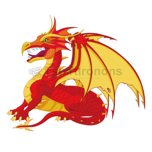 Dragon T-shirts Iron On Transfers N5438 - Click Image to Close